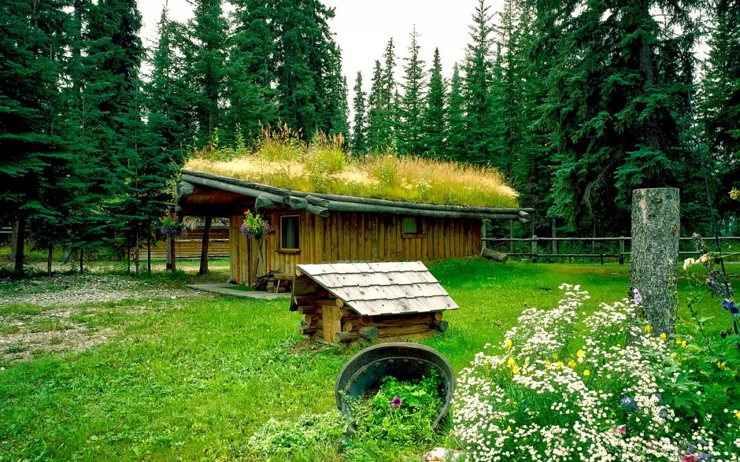 Avantages des toits verts