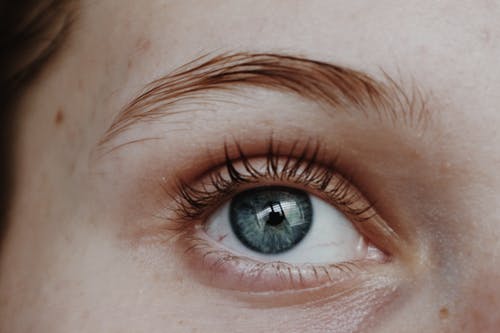 Micro-sourcils : Tout ce que vous devez savoir